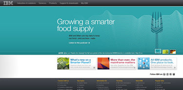 IBM Screenshot